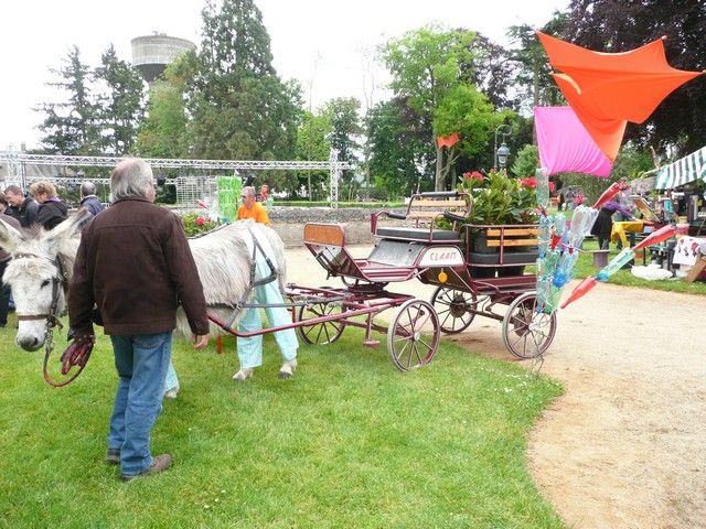 rodho 2013 (75).jpg